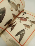 The Hunter's Guide - NRA Publication