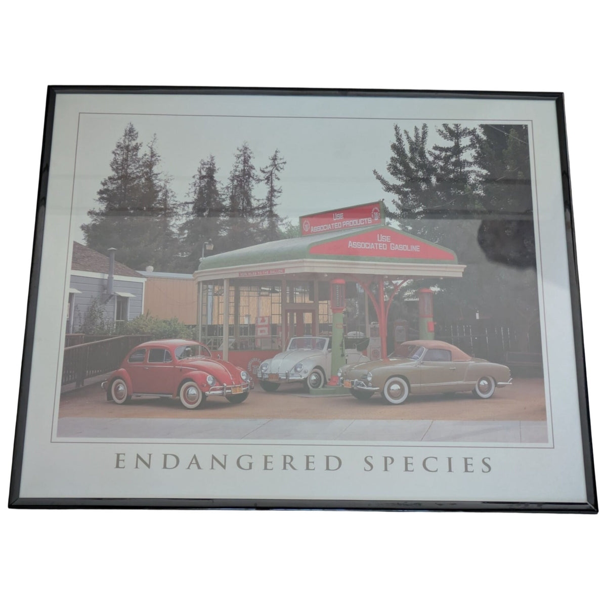 16x20 1970s Endangered Species VW Volkswagen Framed Poster Vintage