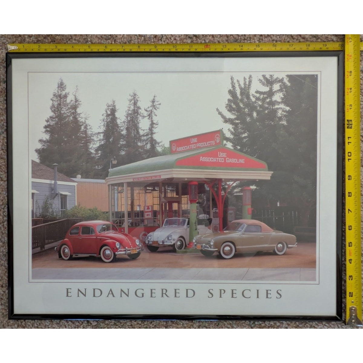 16x20 1970s Endangered Species VW Volkswagen Framed Poster Vintage