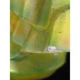 AS-IS 14" Chalkware Bonnet Lady Holding Basket of Flowers Dress Victorian Ceramic Woman Chalk Ware