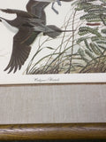 Oakgrove Pintails John A. Ruthven Print Signed Numbered Ducks
