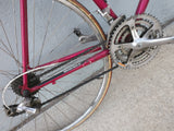 Eros Bianchi Pink Vintage Road Bike Bicycle Shimano RX100 Mavic Rims
