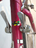 Eros Bianchi Pink Vintage Road Bike Bicycle Shimano RX100 Mavic Rims