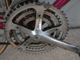 Eros Bianchi Pink Vintage Road Bike Bicycle Shimano RX100 Mavic Rims