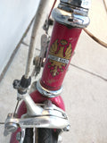 Eros Bianchi Pink Vintage Road Bike Bicycle Shimano RX100 Mavic Rims