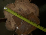 Log 24X21" Elephant 3 Head Carved Art Table Wood Carving African Spirit Animal Wooden