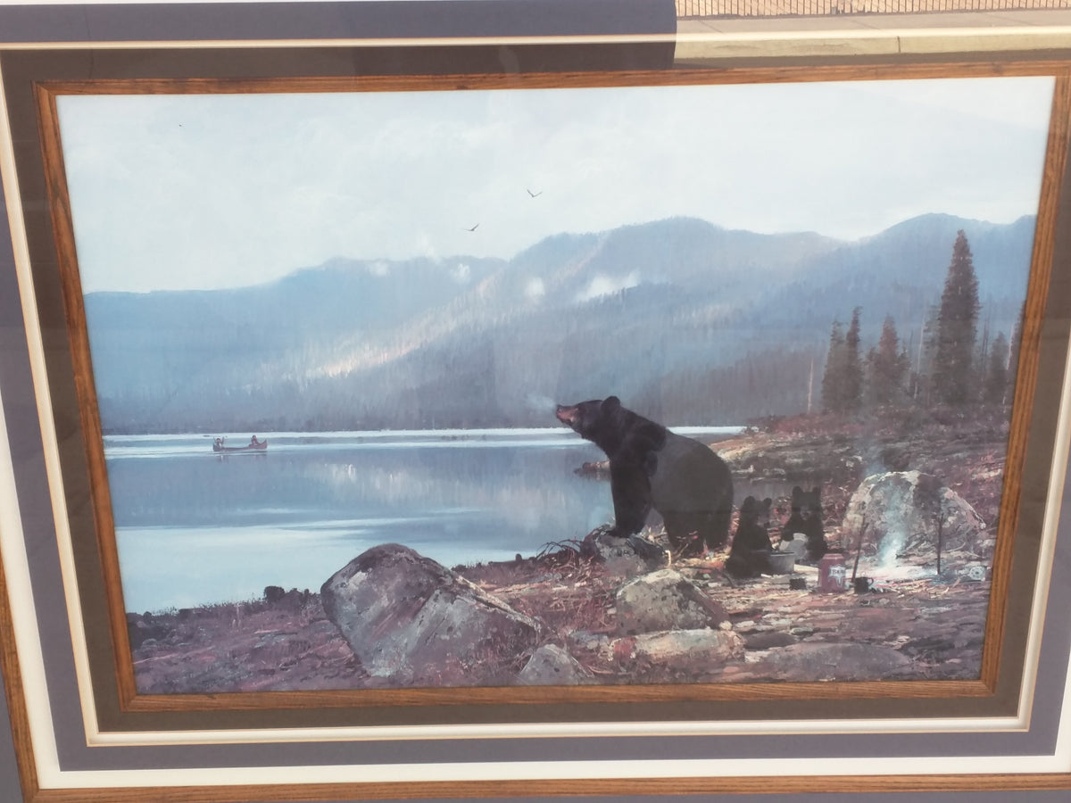 Bears Camping Michael Coleman Print Oak Frame – Pocatello Market