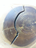 RB Tree Branch Box Handmade Wooden Wood Nature Natural Hidden Compartment Custom Hide Keys