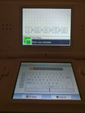 Pink Nintendo DS Lite USG-001 & Power Adapter
