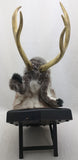 AS-IS Jackalope Jake Gemmy Jake Wall Mounted Singing Animated Novelty Toy Mancave Decor