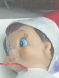 The Elf on the Shelf Box Set Boy Doll Blue Eyes Light Skin Brown Hair 2005 RARE