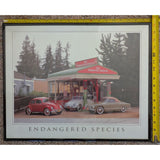 16x20 1970s Endangered Species VW Volkswagen Framed Poster Vintage Cars Gas Station Art Print