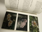 Wildflower Books Set: Discover Yellowstone & Grand Teton National Parks