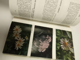 Wildflower Books Set: Discover Yellowstone & Grand Teton National Parks