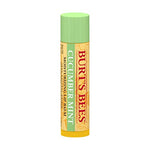 Burts Bees Cucumber Mint Moisturizing Lip Balm for Women, Orange, 0.15 Oz