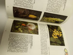 Wildflower Books Set: Discover Yellowstone & Grand Teton National Parks