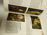 Wildflower Books Set: Discover Yellowstone & Grand Teton National Parks