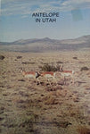 Pronghorn antelope in Utah: Some research and observations (Publication / Utah D