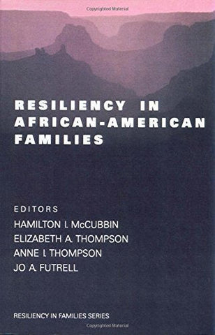 Resiliency in African-American Families (Resiliency in Families Series) [Paperba