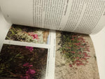 Wildflower Books Set: Discover Yellowstone & Grand Teton National Parks