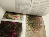 Wildflower Books Set: Discover Yellowstone & Grand Teton National Parks