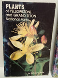 Wildflower Books Set: Discover Yellowstone & Grand Teton National Parks