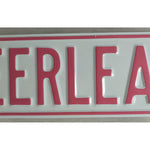 Pink 36 X 6 Cheerleader St Metal Steel Street Sign School Wall Art White Back