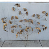5'X4' MAKE OFFER 2006 Curtis Jere Signed Brass Metal Ginkgo Leaf Branch Wall Art Brutalist Sculpture Botanical MCM