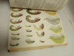 Nymphs: A Complete Guide to Naturals and Imitations by Ernest Schwiebert