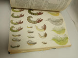 Nymphs: A Complete Guide to Naturals and Imitations by Ernest Schwiebert