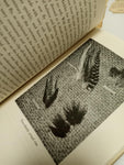 How to Tie Flies by E.C. Gregg - The Barnes Sports Library