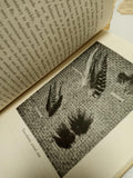 How to Tie Flies by E.C. Gregg - The Barnes Sports Library