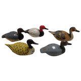 Set China Pencil Sharpener Hong Kong Plastic Shaker Mini Mallard Duck Miniature