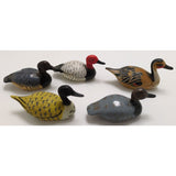 Set China Pencil Sharpener Hong Kong Plastic Shaker Mini Mallard Duck Miniature