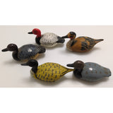 Set China Pencil Sharpener Hong Kong Plastic Shaker Mini Mallard Duck Miniature
