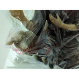 9" The Shepherds and Angel Lamb For Real Life Nativity Series Three Kings Gifts