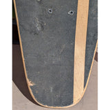 40" Yocaher Punked Rasta Lion Graphic Longboard Skateboard 70mm Speed Cruiser Wheels