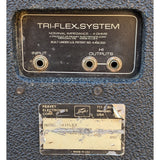 Peavey Tri-Flex PA System Subwoofer Satellite Speakers + Pair 110DL Monitors Rock Band Performance