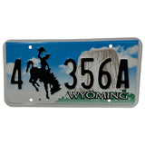 4 356A Wyoming License Plate Porsche Cowboy Busting Bronc Horse Devils Tower 356
