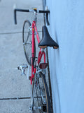 21" 1988 SCHWINN CIRCUIT w/ Shimano 600 Santé Wolber TX Profil Modolo Selle Turbo Special Saddle