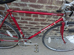 Nishiki Sebring Road Bike Bicycle Vintage Red Maroon Multi Speed