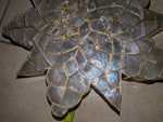18" WHITE Capiz Shell Parol Star Lantern Light Christmas Philippines