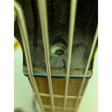 Peavey Millennium BXP 4-String Bass Guitar TKL Bag Tiger Eye Quilted Maple-Woodgrain