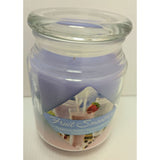 Unlit 6" Fruit Smoothies Scented Jar Candle 20 Oz Guild House Raspberry Blueberry Glass USA Single Wick
