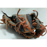 11.5" DeMarini Insane Dedication Performance Baseball Glove WTA08RB15DI115