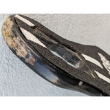 AS-IS H5 TeamGee Electric 37" Skateboard Deck Hub Motors Black Longboard Team Gee