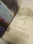 SIGNED Flyfishing Still Waters by Donald V. Roberts - A Comprehensive Guide