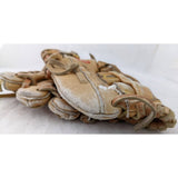 10.5 Rawlings RBG 36Y Cal Ripken Jr Holdster Endorsed Vintage Baseball Glove Mitt Leather RHT
