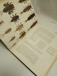 Nymphs: A Complete Guide to Naturals and Imitations by Ernest Schwiebert