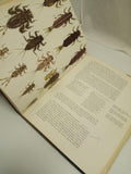 Nymphs: A Complete Guide to Naturals and Imitations by Ernest Schwiebert